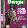 Dengie Cool, Condition and Shine (20kg)