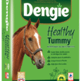 Dengie Healthy Tummy (20kg)