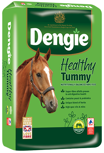 Dengie Healthy Tummy (20kg)
