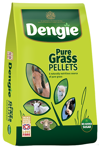 Dengie Pure Grass Pellets (20kg)