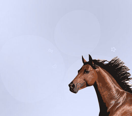 Horse Menu Image Horse1