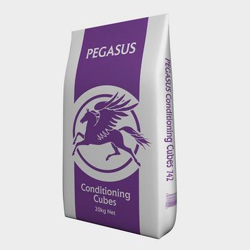 Pegasus Conditioning Cubes