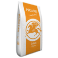 pegasus_cubes_1